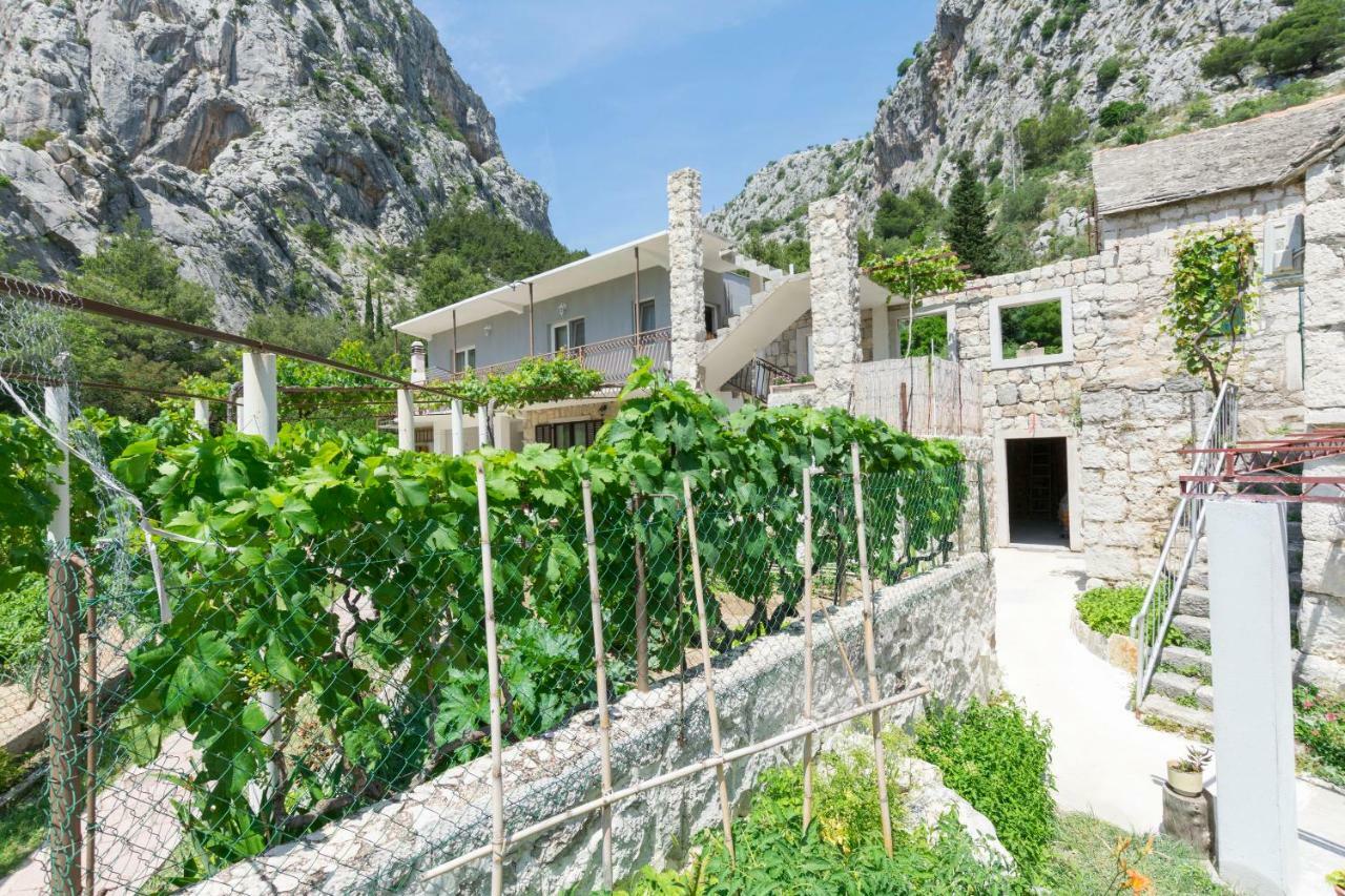 Apartment Petea Omiš Extérieur photo
